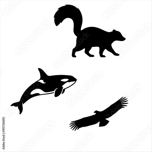 Silhouette Clip art, Minimal Wildlife Animal Icon in Black