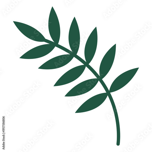 Leaves delicate flat green