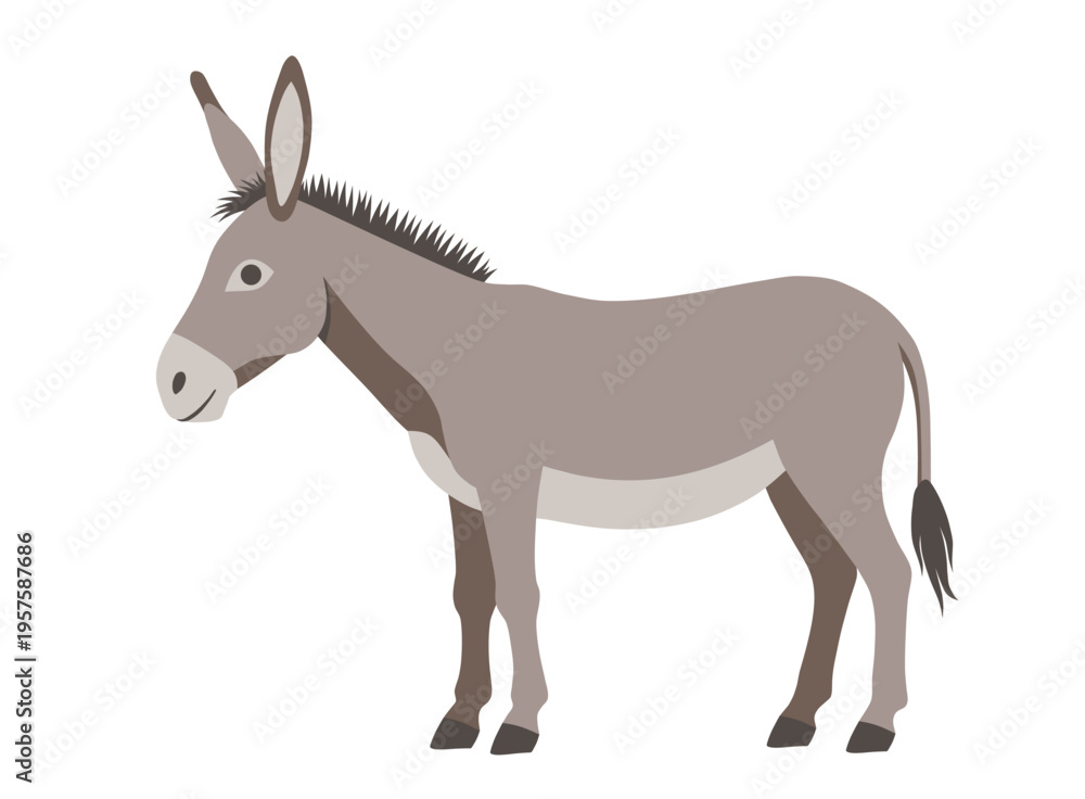 Fototapeta premium Donkey