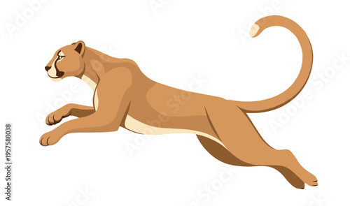 Vector illustration of jumping puma