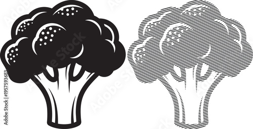 Comparison of two different broccoli illustrations with distinct shading techniques