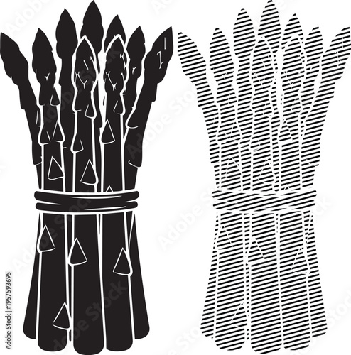 Antique illustration of bound bundles of asparagus and tied vegetables