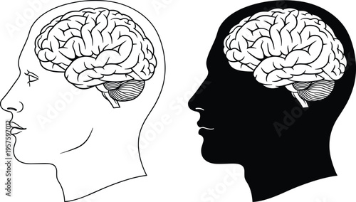 Human head profile with brain illustration featuring both line art and black silhouette versions for psychology neurology mental health and artificial intelligence concepts