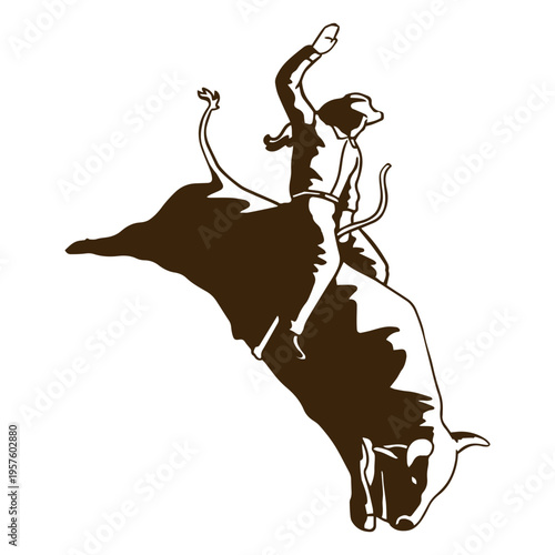 Cowboy bull animal high contrast