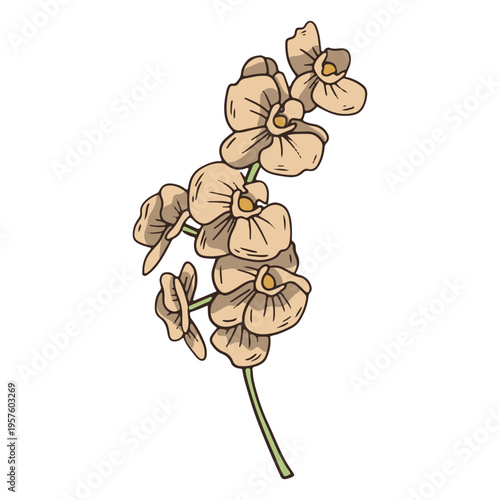 Vintage orchid flowers icon