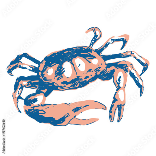 Big red and blue crab