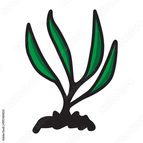 long-leafed plant design