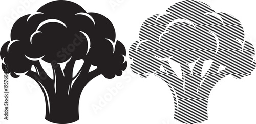 Visual comparison of solid and textured broccoli illustrations with distinct patterns