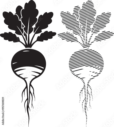 Illustrative comparison of a filled and empty beets root vegetable with foliage