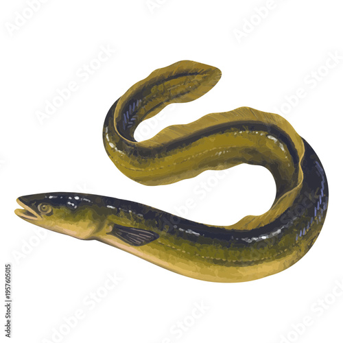 Yellow and black fish