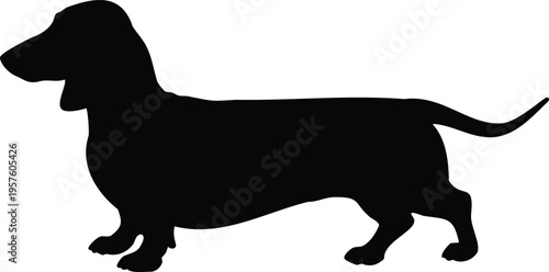 Black and white silhouette classic dachshund walking vector