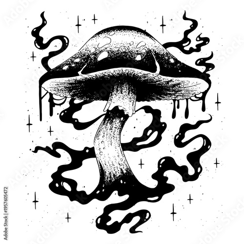 Black and white image of a mushroom in the dark