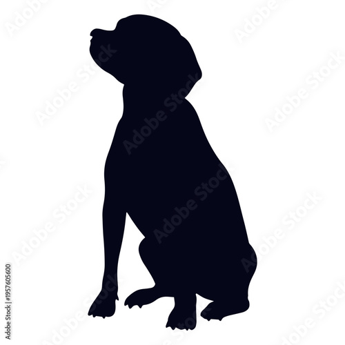 Silhouette of a dog sitting
