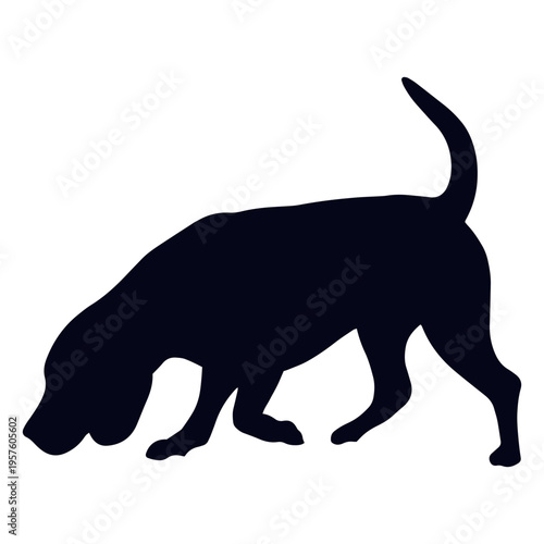 Silhouette of a dog sniffing