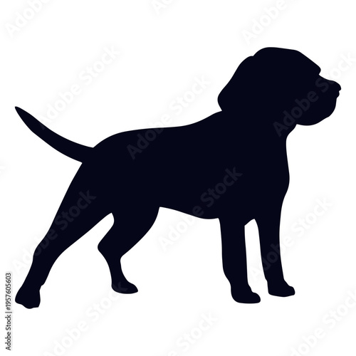 Silhouette of a dog standing wiggling tail
