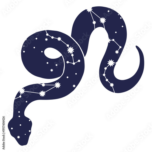 Snake with stars and constellations