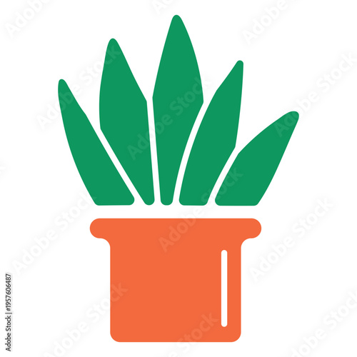 semi-flat agave plant