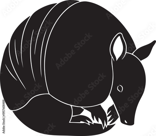 Armadillo curled up in a ball for defense