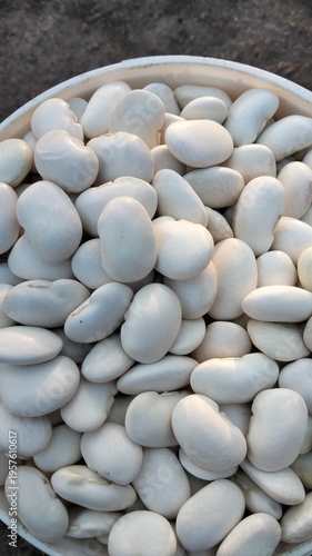Close-up of Raw White Kidney Beans in a White Bowl