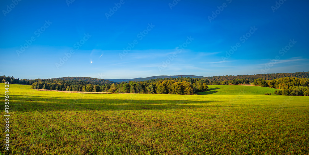 Fototapeta premium green field and blue sky