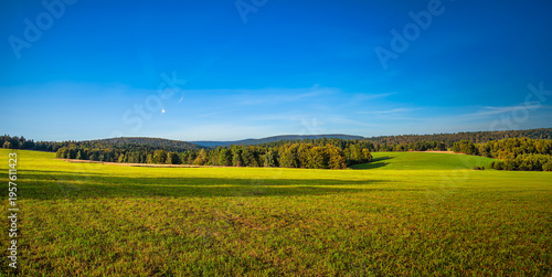 green field and blue sky