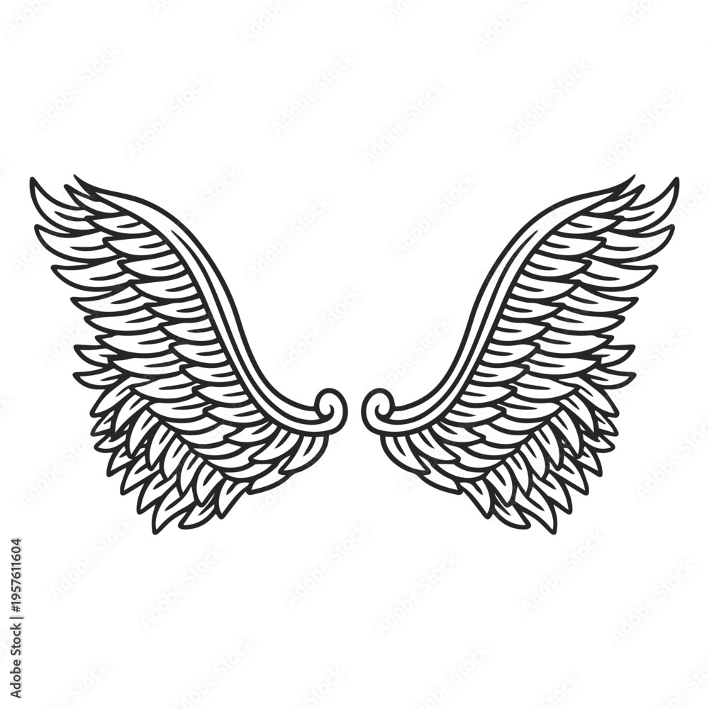 Obraz premium Spread angel wings