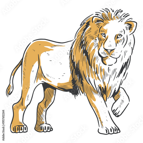 Lion duotone walking