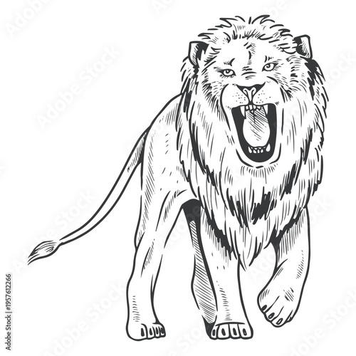 Lion line art roar