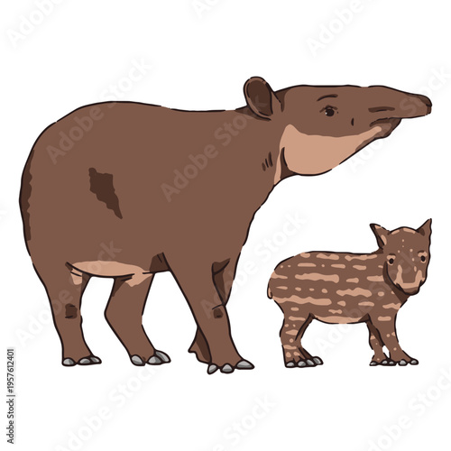 Wildlife baby and mother tapir
