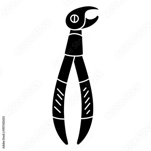 Dental equipment forceps