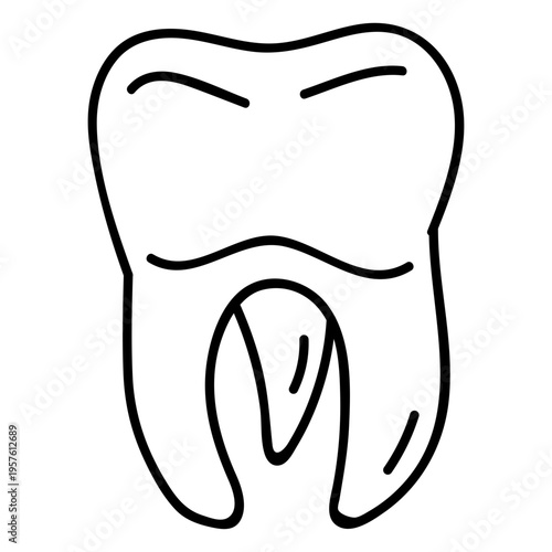 Molar tooth with its distinct ridges and grooves