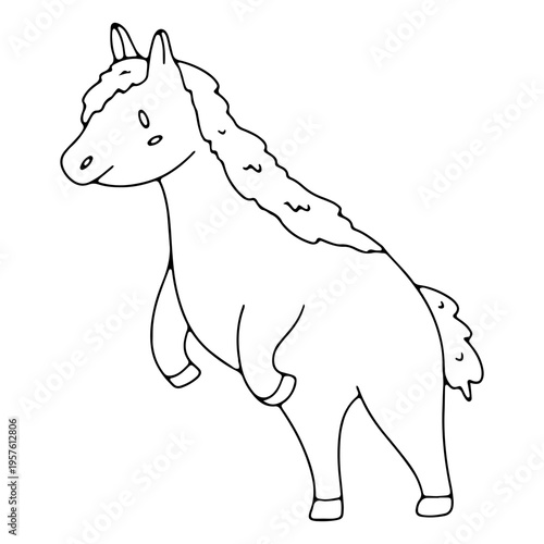 Galloping little horse