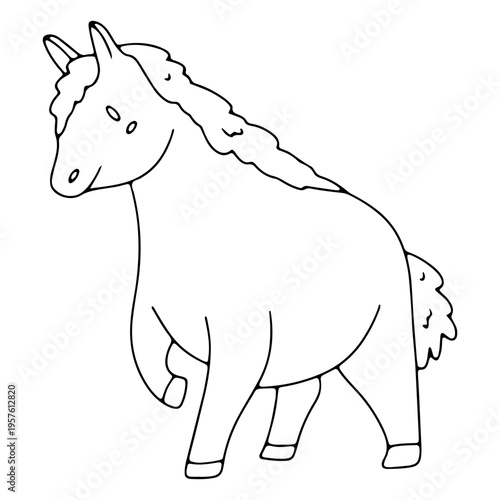 Adorable little horse