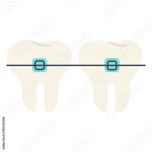 Two molars with braces