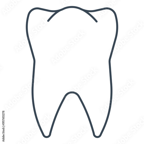 Simple drawing of a molar tooth