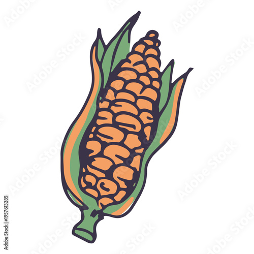 Ear of corn with green leaves