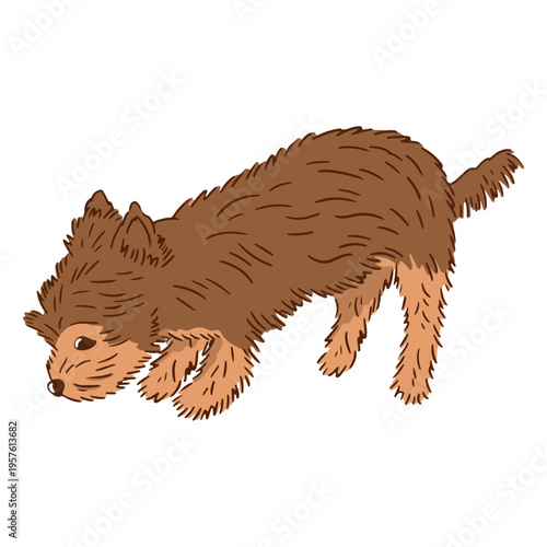 Yorkshire color stroke smelling