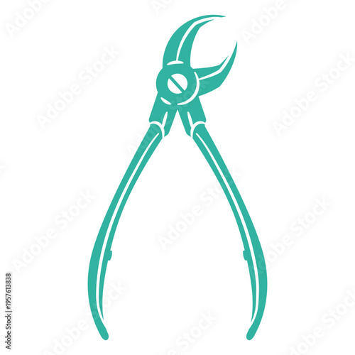 Forceps to carry out a dental treatment
