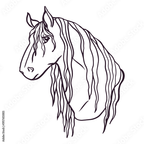 Horse pony stroke animal