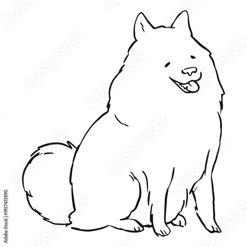 Beautiful dog with a wonderful coat