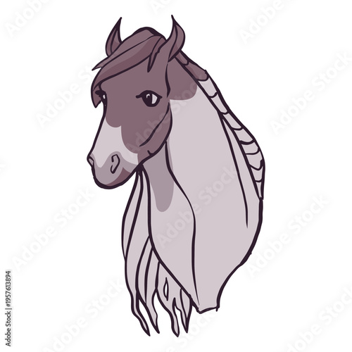 Magnificent horse head