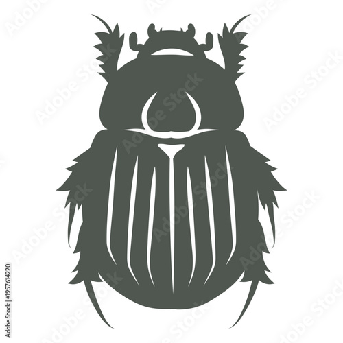 Dark image of a beetle