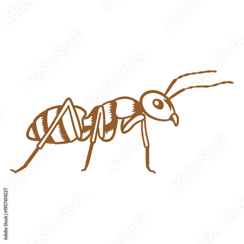 Ant stroke image