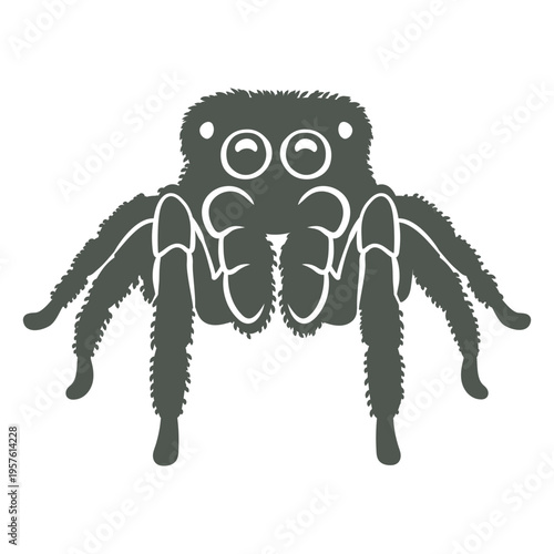 Dark image of a spider
