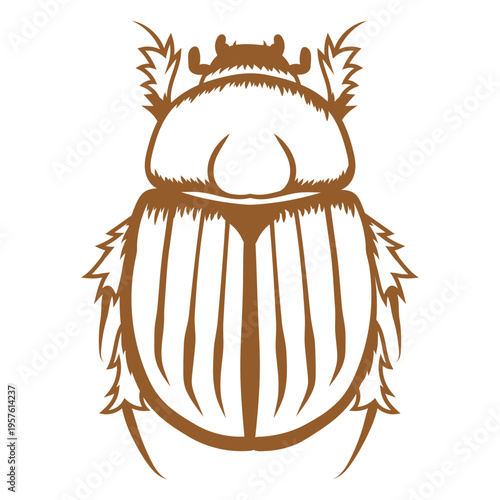 Image of a scarab beetle