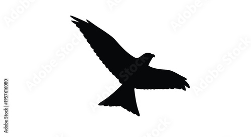 A black silhouette of a bird in mid flight against a white background silhouette