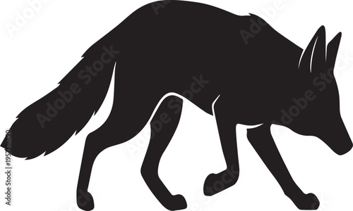 Prowling Forest Fox Silhouettes for Stock