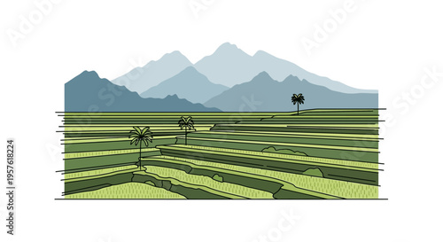 Rice fields with palm trees and mountains in background illustration
