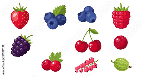 Colorful illustration of various berries on white background including strawberry and cherries