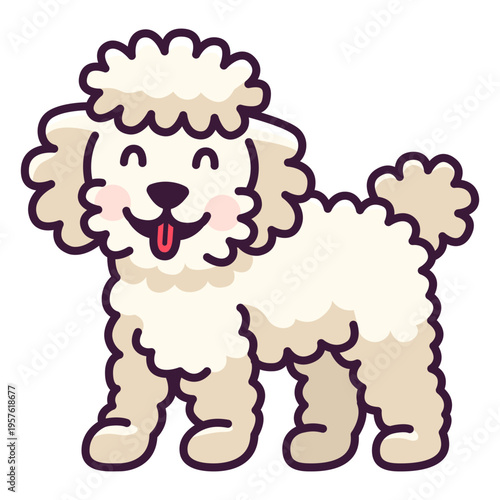 White poodle standing